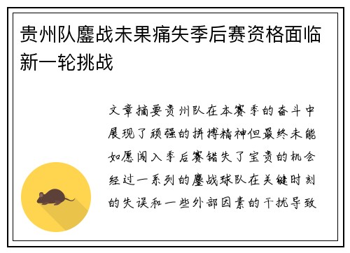 贵州队鏖战未果痛失季后赛资格面临新一轮挑战